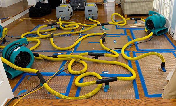 Professional Flood Damage Restoration technician working in Cedar Lane, TX